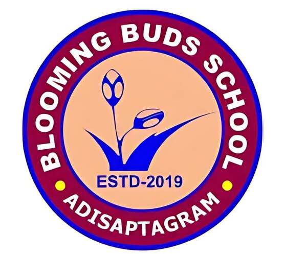 Blooming Buds School